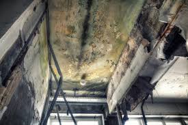 Best Industrial Mold Remediation  in Canal Fulton, OH